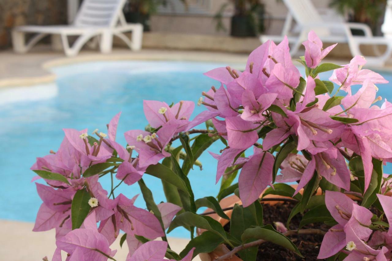 غراند بايَ Residence Le Lotus المظهر الخارجي الصورة